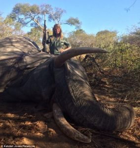 Kendall Jnoes with dead elephant
