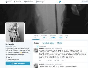 Screen shot of pro anorexia twitter account
