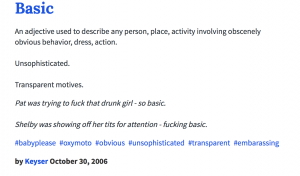 Screenshot of the term 'basic'.