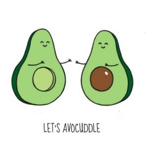 avocuddle