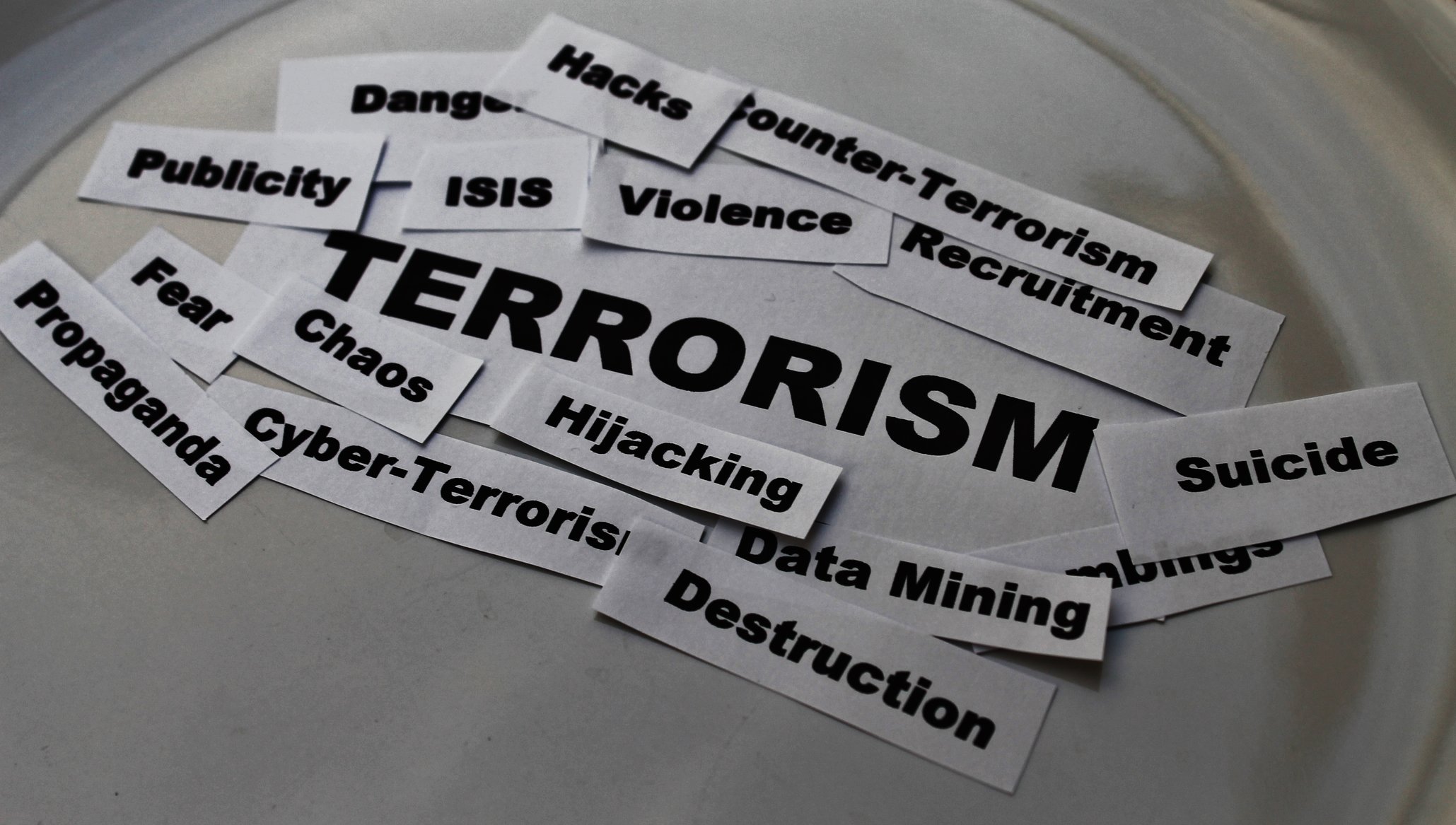 Terrorism Brainstorm 